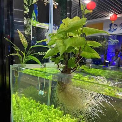 Подставка для аквариумных растений, горшок для водных растений, подвесной аквариумный вазон, держатель для аквариумных растений, горшок для аквариумных растений, аксессуары для аквариума