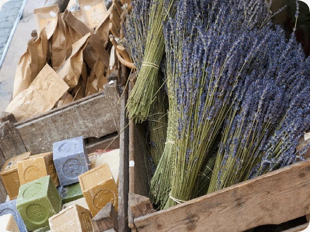 SAFLAX Garden in the Bag - Английская лаванда - 150 семян - С субстратом в подходящем мешке - Lavandula angustifolia