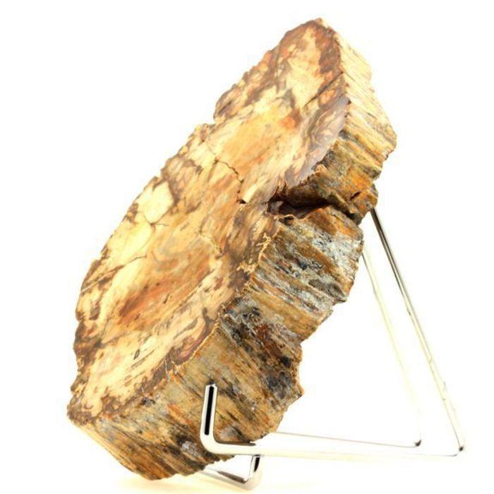 Pierres et Minéraux. Bois pétrifié. 6750.0 ct. (1.35 kg). Majunga, Madagascar.