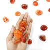 1 шт. Рейки Исцеляющий Кристалл Одиночный Камень Необработанный Красный Сердолик Драгоценный Камень Галька для Аквариума Дома Декоративный Садовый Стол Коррекция Васту