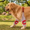 Дизайн в полоску Собачьи налокотники Мягкие Мультяшный узор Собачий налокотник Утолщенные Удобные Собачьи наколенники Наколенники для ног Средние собаки