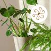 Iron Climbing Houseplant Stem Supports Heart Shape Garden Trellis  Plants Growth Accessories
