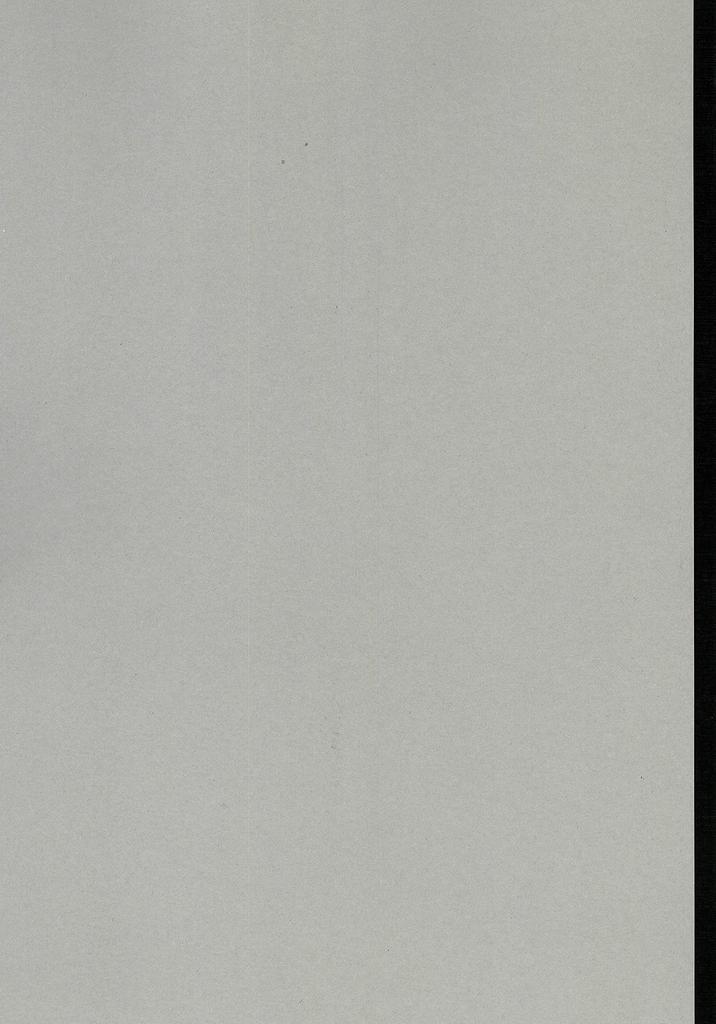 Nakamura Printing Co., Ltd. Горизонтальный блокнот, A3, Чистый блокнот, 1 лист