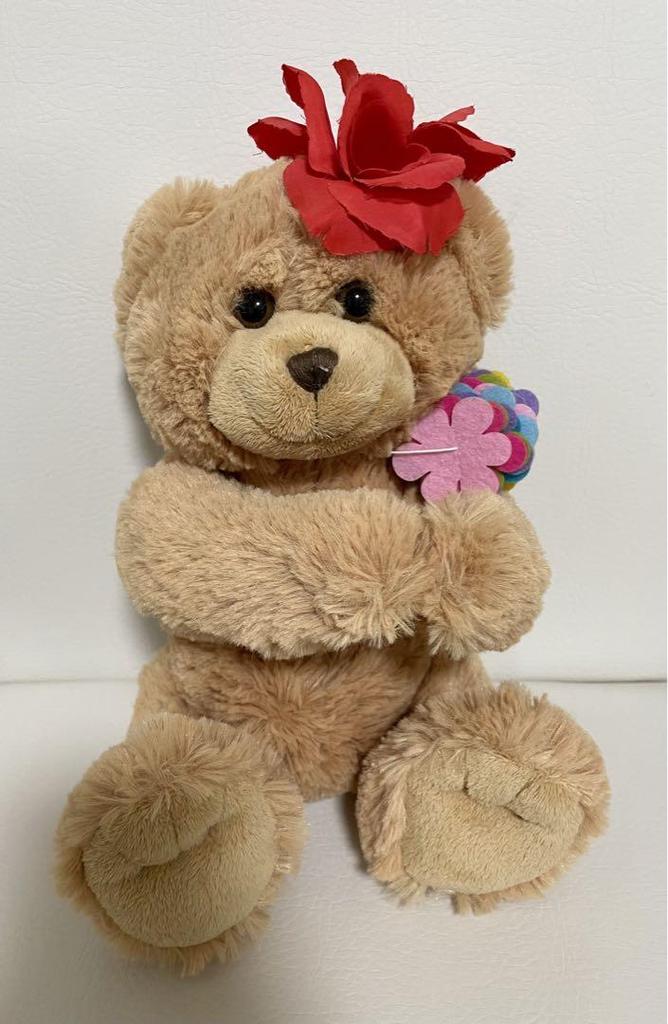 [USED] Stuffed Teddy Bear