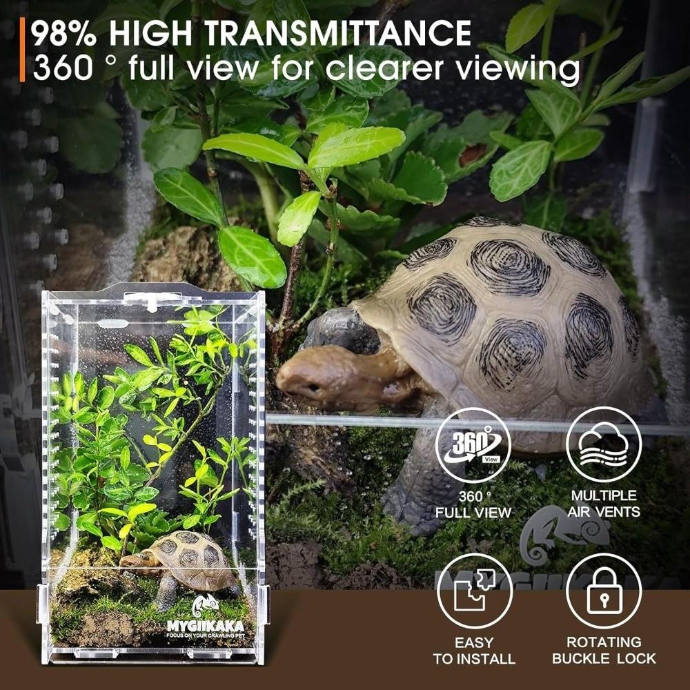 Acrylic Jumping Spider Enclosure Buckle Lock Escape Proof Reptile Feeding Tank Ventilated Transparent Spider House
