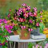 UV Resistant Morning Glory Flowers Silk Material Artificial Trumpet Flower  Home Decor