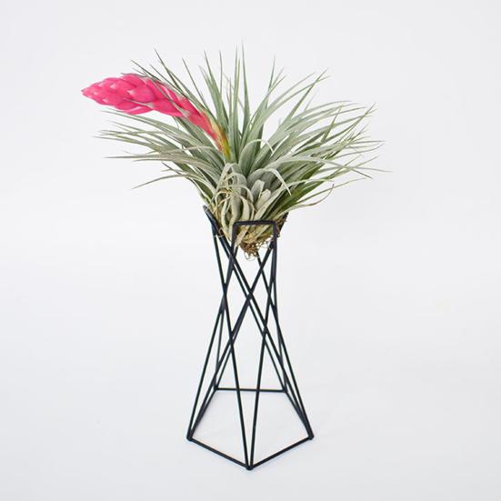 Подставка для растений, экологически чистая дышащая, в скандинавском стиле, прочная, минималистичная, с железным креплением, дизайн в виде ананаса, держатель в горшке, садовые принадлежности