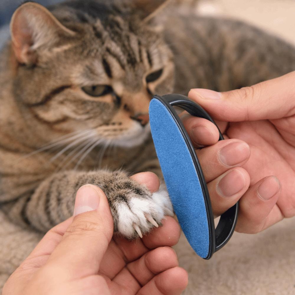 Wear Resistant Dog Nail File Board Replaceable Sandpaper Puppy Nail File  Dog Paw Grinding