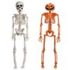 40CM Halloween Human Skeleton Plastic Bone Model Creative Body Figurine  Outdoor Indoor