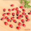 100 шт. Миниатюрные Coccinella Septempunctata Ремесленные изделия из смолы Сделай сам Декор для маленького сада