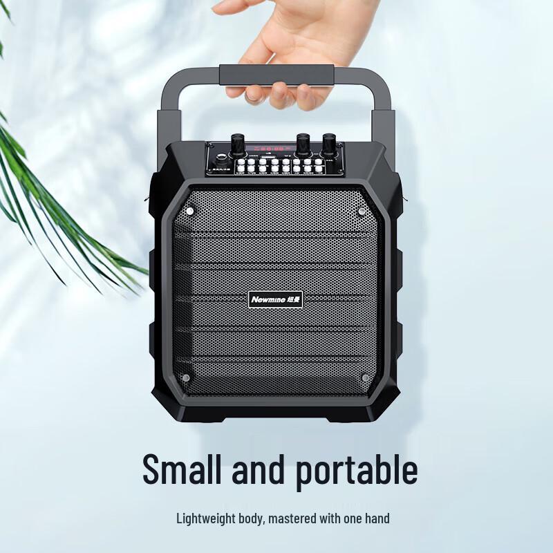 Портативная Bluetooth-колонка Newsmy K99 с микрофоном, штекер CN (адаптер в комплекте) (Китайская версия)