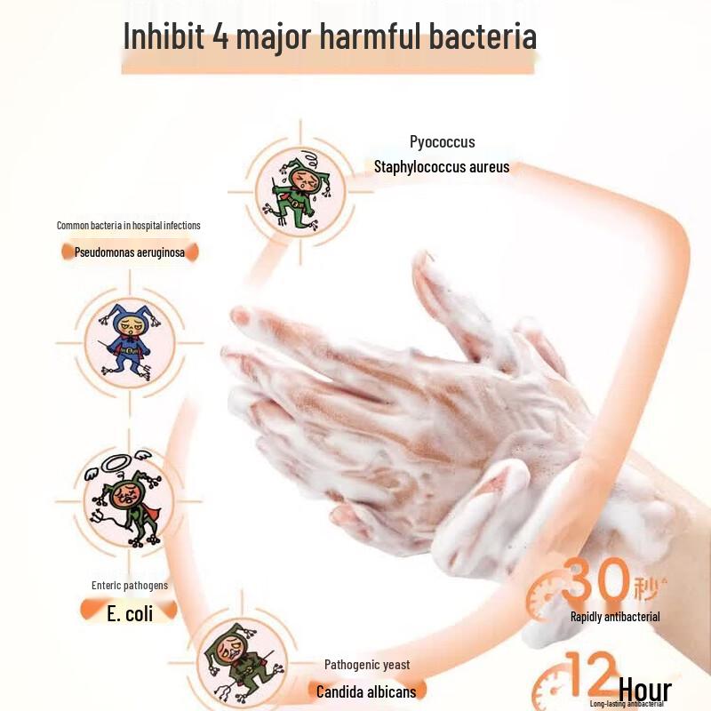 Lion Imported Foaming Antibacterial Hand Soap