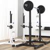 Chongfengju Squat Rack
