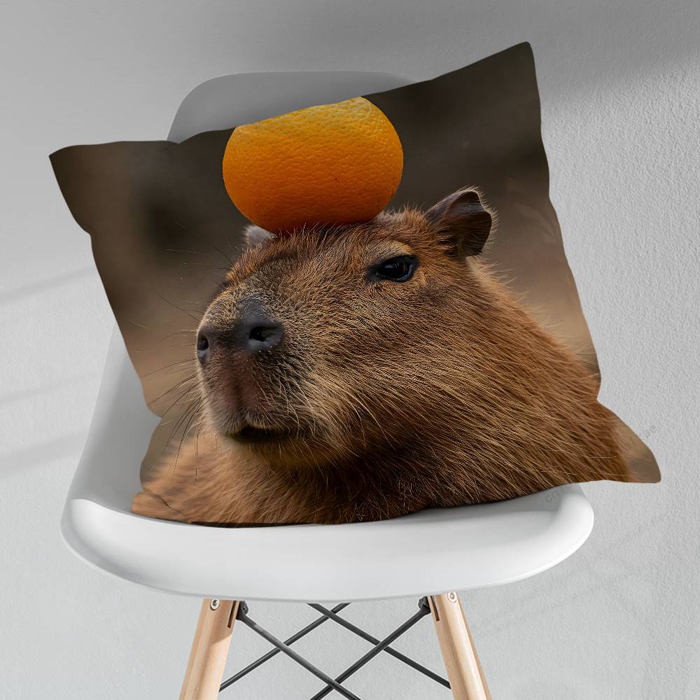 Cute Lindos Capibaras Various Sizes Square Pillow Case For Car Home Bedchamber Decor Birthday Gift