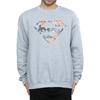 DC Comics Mens Superman Floral Logo 2 Sweatshirt