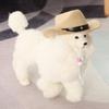 Outdoor Adjustable Pet Accessories Pet Dog Hat Dogs Cat Caps Dogs Cats Headwear Cowboy Hats