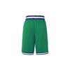 Nike Баскетбольные шорты унисекс зеленые CN1023-312