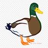 Duck Mallard Iron On Heat Transfer Printing Vinyl Patches Sticker for Clothes DIY Appliques Washable Patches
