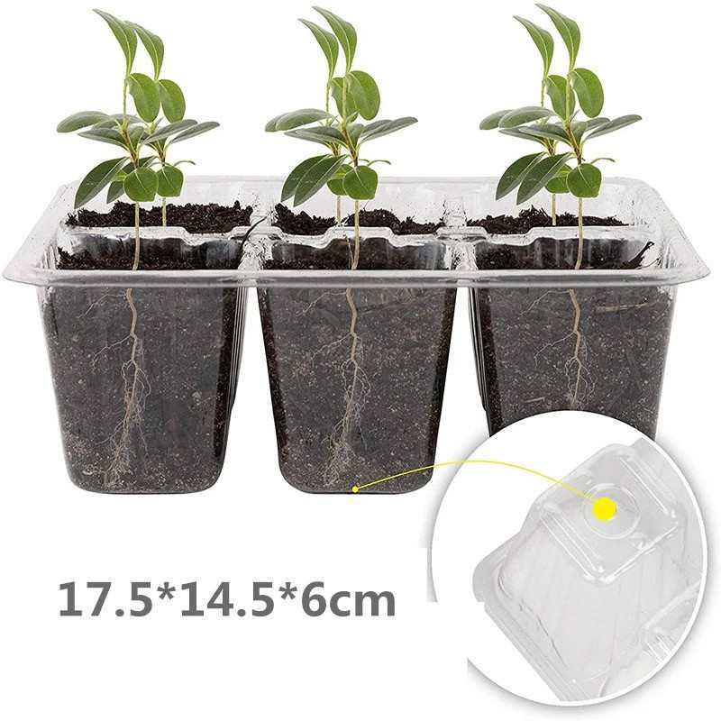 Thickened 6/12-Hole Seedling Tray with Rotating Switch & Transparent Lid for Heat and Moisture Retention