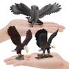 Simulation Of Forest Animals, Birds, Bird Models, Toys, Owls, Bald Eagles, Budgerigars, Desktop Static Ornaments