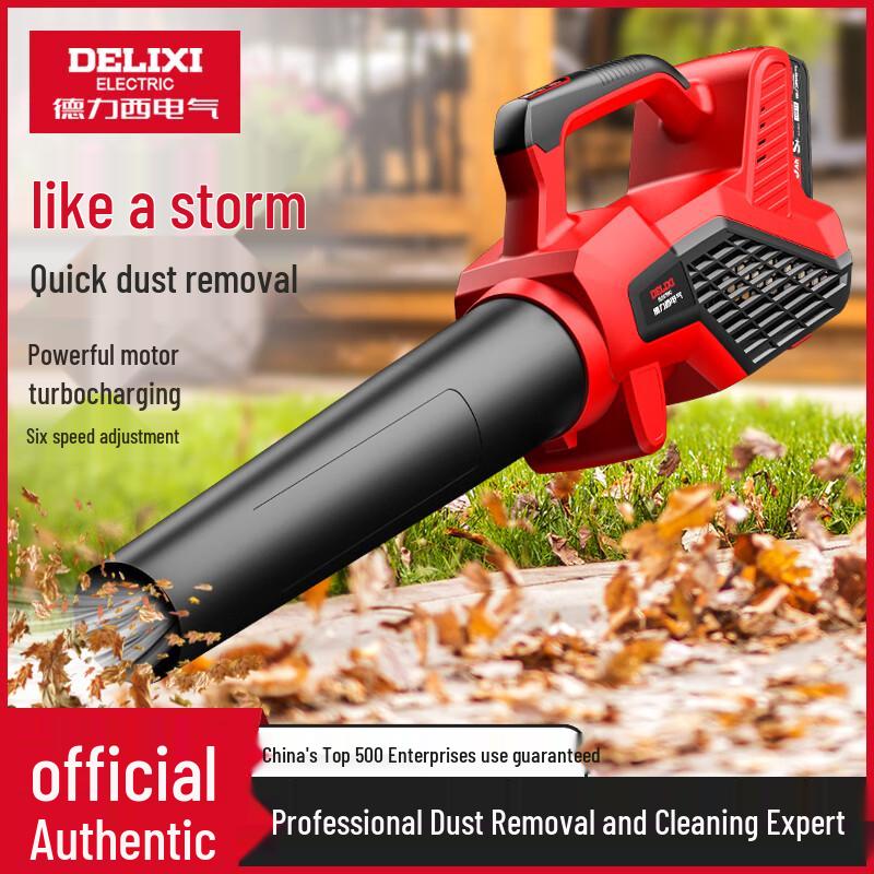 DELIXI ELECTRIC Cordless Power Blower CN plug (adapter included)