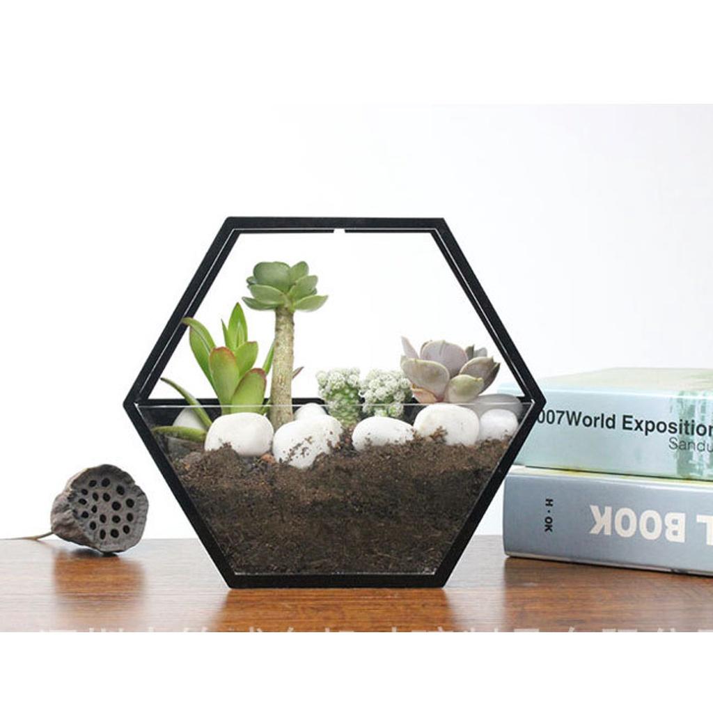 Скандинавский стиль Деревянный декор Настенный шестиугольный каркас Цветы Книги Игрушки Горшок Полка-держатель для хранения Дисплей для фигурок Полки для поделок