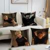AAaron WWarner cushion cover For Pillow Printing Sofa Decoration Home Car Room Coffee Shop Office Nordic Simplicity