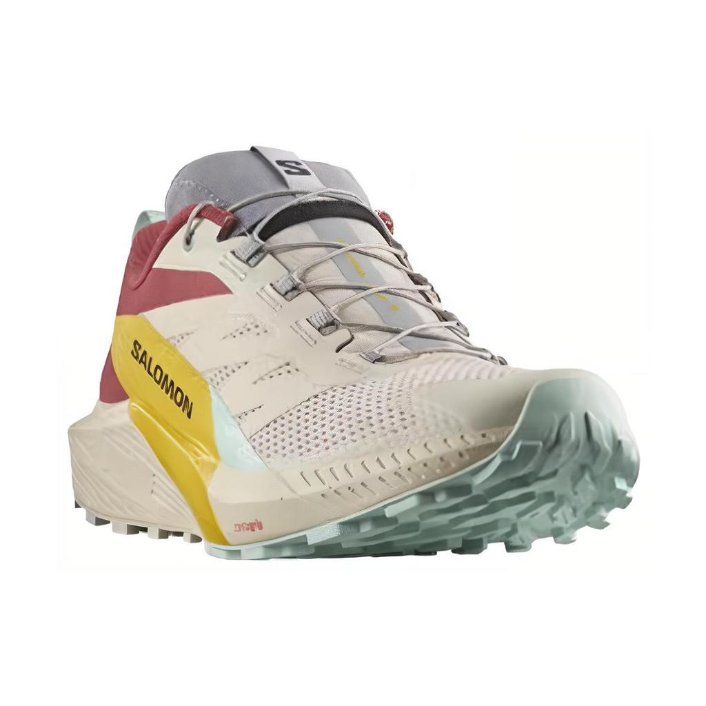 SALOMON Кроссовки для трейлраннинга Sense Ride 5 Мужские Обувь Бежевый Красный L47211800