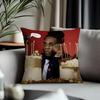 Trending BBurna Boyew Cushion Cover Antidustmite Pillowcase Invisible Zipper Silky Short Plush Sofa Cushion Cover