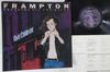 LP Record PETER FRAMPTON - Breaking All The Rules AMP28032 A&M 1981 Japan Rock Used