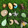 Cycle Plastic Models Life Cycle Figurine Simulation Animals Action Figures Growth Cycle Model