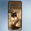 S-Сиамские кошки Милый чехол для телефона для Samsung S 25,24,23,22,30,21,10,9,Ultra,Plus,Lite,FE,4,5G Черный Мягкий чехол