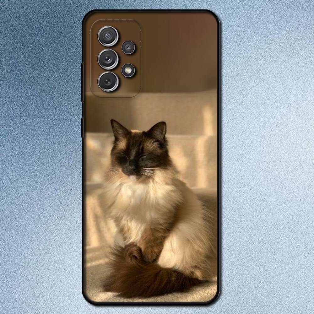 S-Сиамские кошки Милый чехол для телефона для Samsung S 25,24,23,22,30,21,10,9,Ultra,Plus,Lite,FE,4,5G Черный Мягкий чехол
