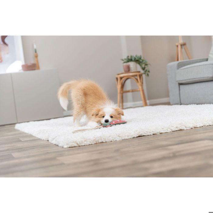 Jouet pour chien - TRIXIE - Dragon sur corde en cuir - Vert - Grand - Intérieur