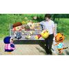 Animal Crossing New Leaf Amiibo + (1 В комплекте карта amiibo «Animal Crossing New Leaf Amiibo +»)