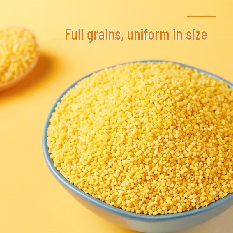 October Rice Field Shanxi Yellow Millet