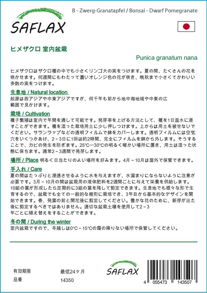SAFLAX Garden in the Bag - Бонсай - Карликовый гранат - 50 семян - С субстратом в подходящем пакете-стойке - Punica granatum nana