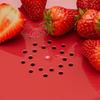 Nordic Round Plastic Fruit Plate, Creative Snack & Dessert Serving Tray with Fruit Fork