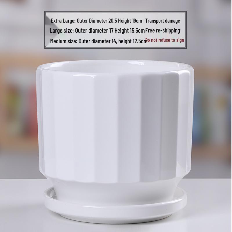 Simple White Ceramic Flower Pot with Base for Indoor Plants - Available in Large and Extra Large