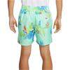 Nike Casual Shorts Men's Jadeite Green Moderate FQ0350-349