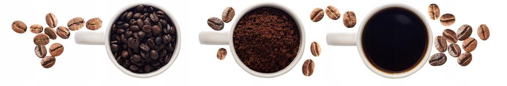 Coffee beans 1kg Brazil 100% Arabica Freshly Roasted SkimaCoffee + free