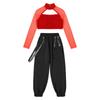Kids Girls Casual Outfits Long Sleeve Mock Neck Crop Top with Elastic Waistband Pants for Hip-hop Street Dance