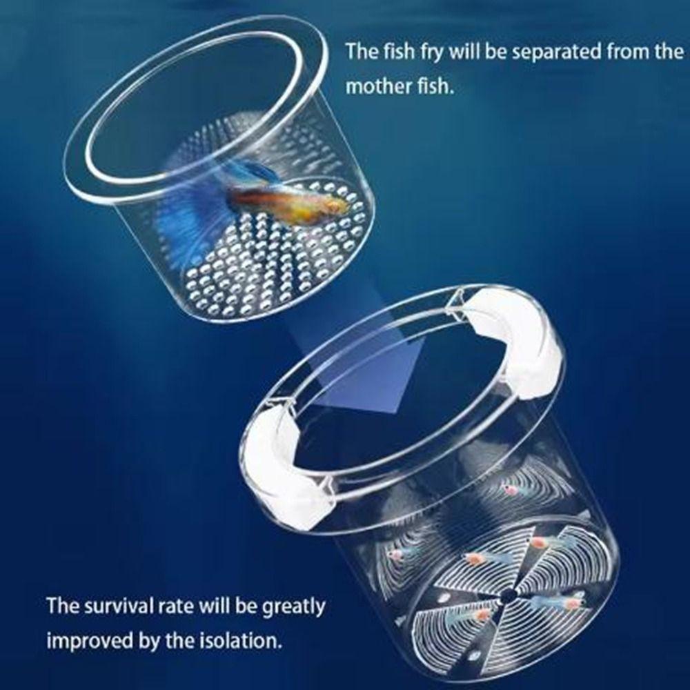 Suspension Floating Fish Breeding Isolation Box Transparent Fish Tank Hatching Box  Spawning Room