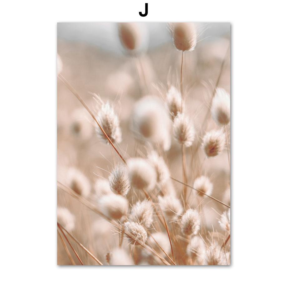 Бежевый тростник орхидея велосипед пейзаж плакаты и принты холст картины настенные художественные картины для гостиной домашний декор эстетика