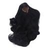 Black Doll Hair Wig Long Curly Hair for BJD Doll Wig Doll Accessories DIY Doll Wig  DIY Replacement
