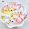 12Pcs