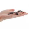 Wildlife Bat Solid Simulation Model for Halloween Decoration and Pranks