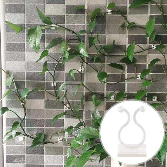 50Pcs Vine Fixing Clip Punch Free Self-adhesive Wall Climbing Plant Branch Binding Fixer Balcony Supplies
