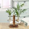 Creative Green Plants Wooden Frame Glass Vase Hydroponic Container Desktop Office Living Room Decoration