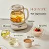 Bear 1.5L Multi-function Glass Wellness Kettle CN plug (adapter included)